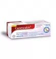 CANESCALM GEL CREMOSO CON 15 G