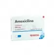 AMOXICILINA 500 MG CON 12 CÁPSULAS