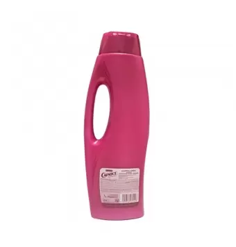 Shampoo Caprice Control Caida Extracto De Mamey + Arginina 750 Ml