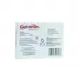GABANTIN 300 MG CON 15 CÁPSULAS (1)