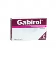 GABIROL 100 MG CON 14 CÁPSULAS