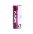 GABIROL PEDIÁTRICO 5GR/100ML SOLUCIÓN GOTAS CON 30 ML