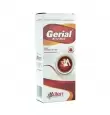 GERIAL B-12 FRASCO JARABE CON 340 ML