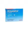PENAMOX 500 MG CON 12 CÁPSULAS