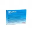 PENAMOX 500 MG CON 12 CÁPSULAS (1)