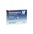 PENAMOX M 500 MG CON 12 CÁPSULAS