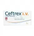 CEFTREX I.V. 1 G FRASCO ÁMPULA CON 10 ML