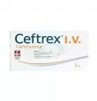 CEFTREX I.V. 1 G FRASCO ÁMPULA CON 10 ML (1)
