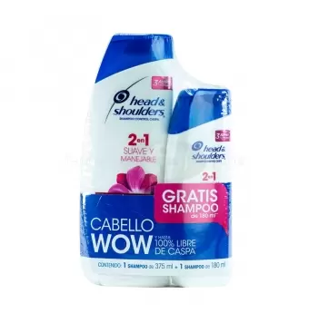 SHAMPOO HEAD & SHOULDERS 2 EN 1 CON 375 ML