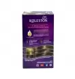 TINTE KOLESTON CHOCOLATE 67 (1)