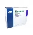 LINCOCIN ADULTO JERINGA PRELLENADA 1 PIEZA