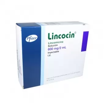 LINCOCIN ADULTO JERINGA PRELLENADA 1 PIEZA