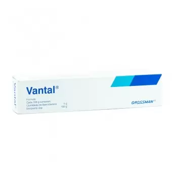 VANTAL GEL CON TUBO DE 60 G (1)