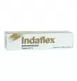 INDAFLEX 2.5% CON 40 G TUBO CREMA