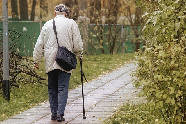 Bastones para Caminar: Cómo Elegir el Adecuado para Tus Necesidades